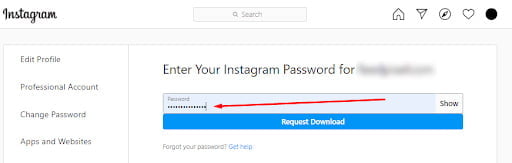 Enter Instagram password to verify DM