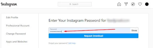 Enter Instagram password to verify DM